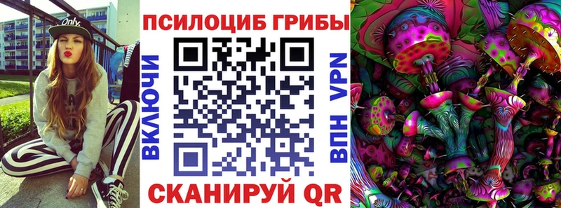 Псилоцибиновые грибы мицелий Балтийск