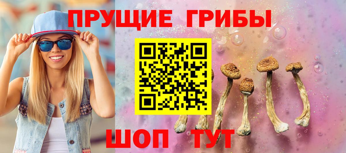 Псилоцибиновые грибы Psilocybe  Вход с VPN  Псилоцибиновые грибы ЛСД  Балтийск 