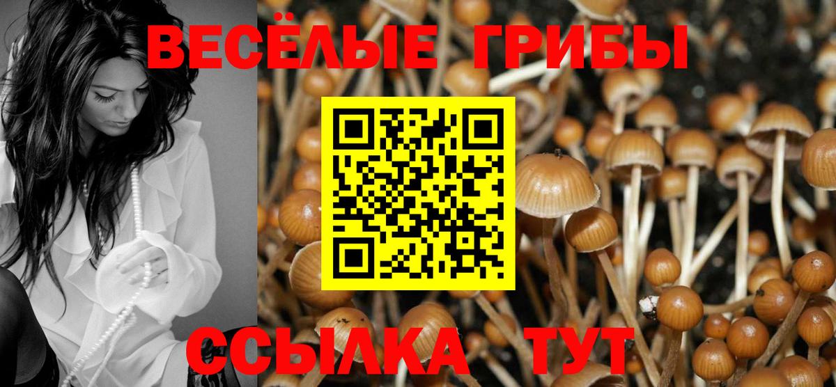 Галлюциногенные грибы ЛСД Балтийск