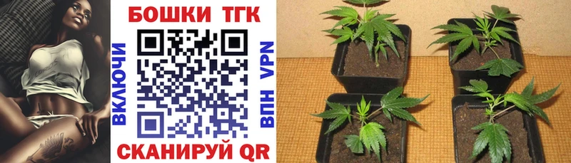 Канабис Bruce Banner  наркошоп  МЕГА как зайти  Балтийск 