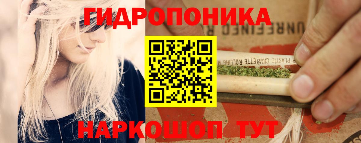 Балтийск  Каннабис план  Вход с VPN  Бошки марихуана планчик  Шишки марихуана VHQ  Конопля ГИДРОПОН 